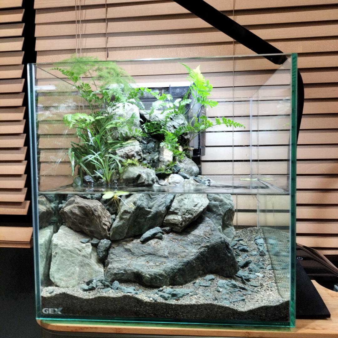 【アクアテラリウム完成品】渓流アクアリウム＋テラリウム30cmキューブ水槽