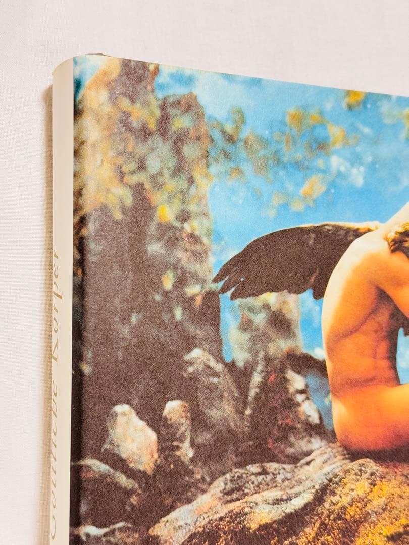 Pierre et Gilles - Göttliche Körper アート本