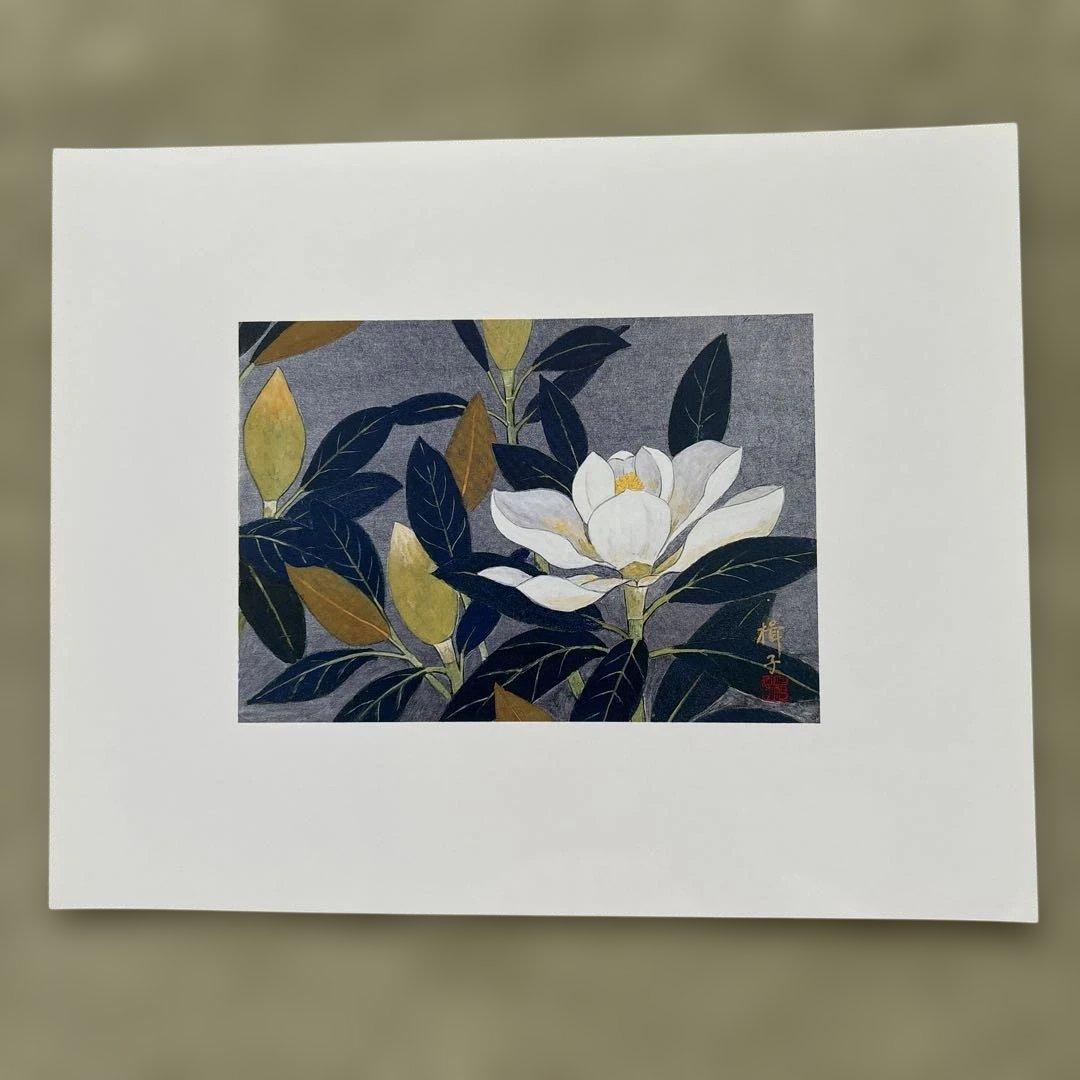 ✴︎額縁・ブルー1枚・コーラルピンク2枚・新品・未使用✴︎