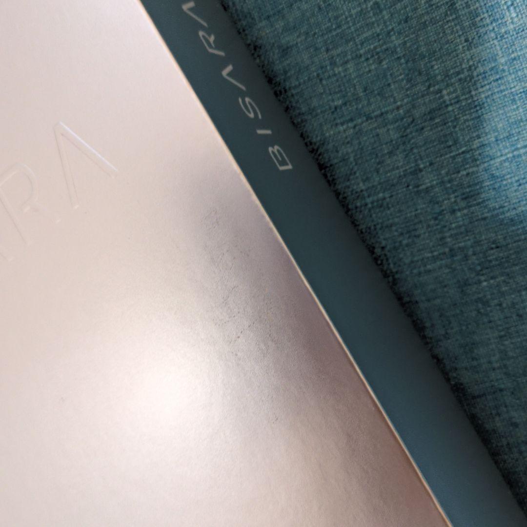 BISARA スティックヘアドライヤー BSR004BK ブラック