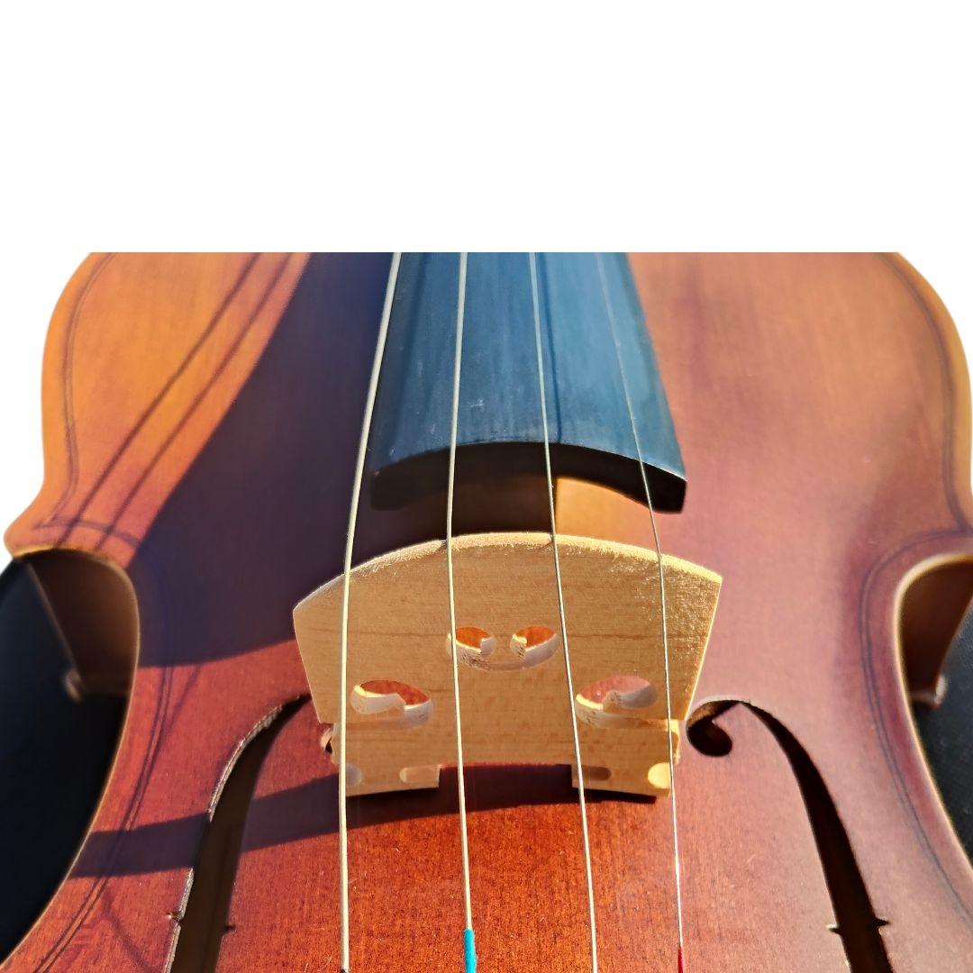 HALLSTATT SV-12 4/4 ハルシュタット バイオリン ケース付