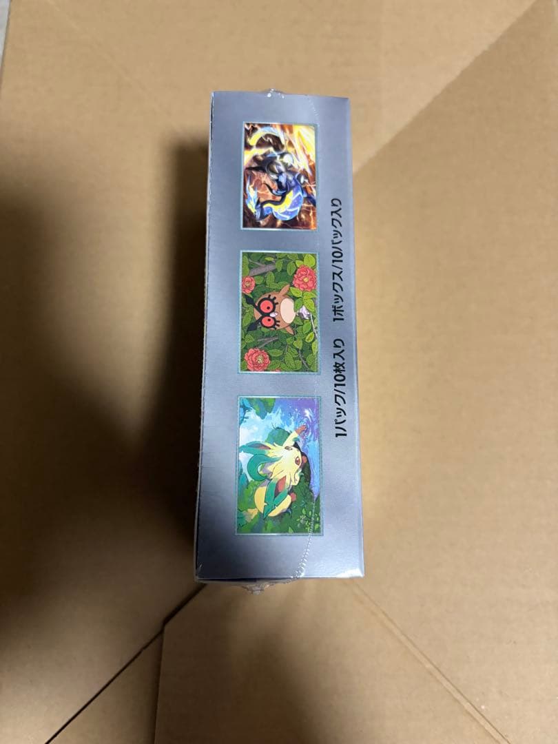 ポケモンカードゲーム テラスタルフェスシュリンク付き