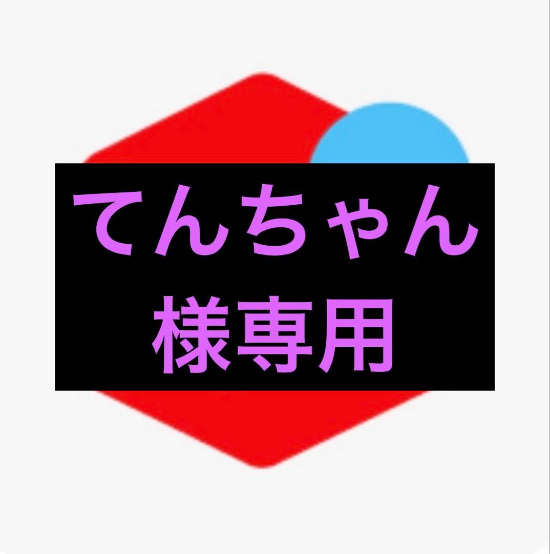 てんちゃんさま専用