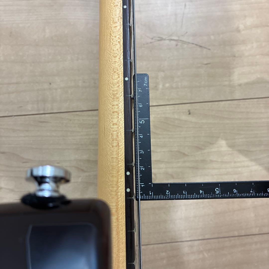 調整済み　いい音　Elioth S305 上位機種　ストラトキャスタータイプ