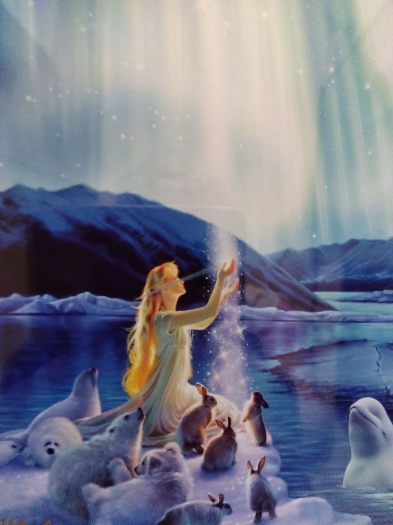 芸術写真 Aurora Dance 110/1000