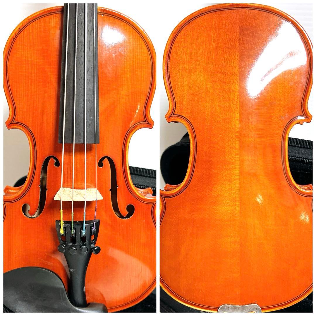 【美品】Andreas Eastman VL80 1/10 イーストマン