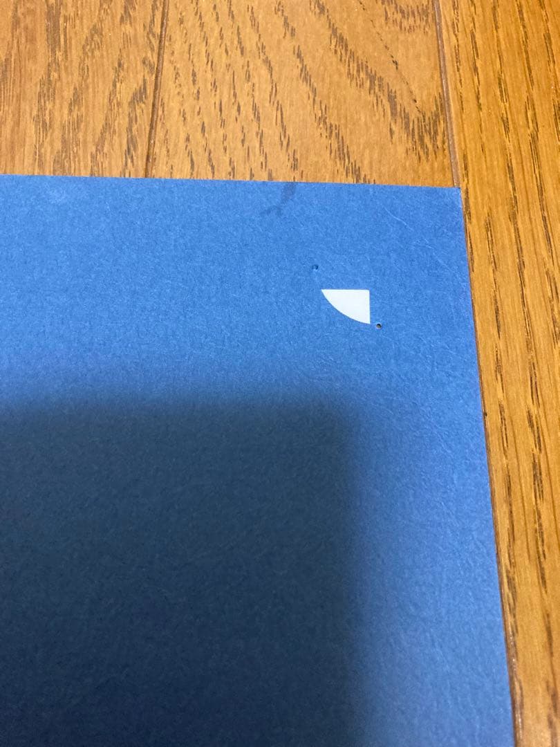 ビビ サンジ 誕生日イラスト 2枚セット