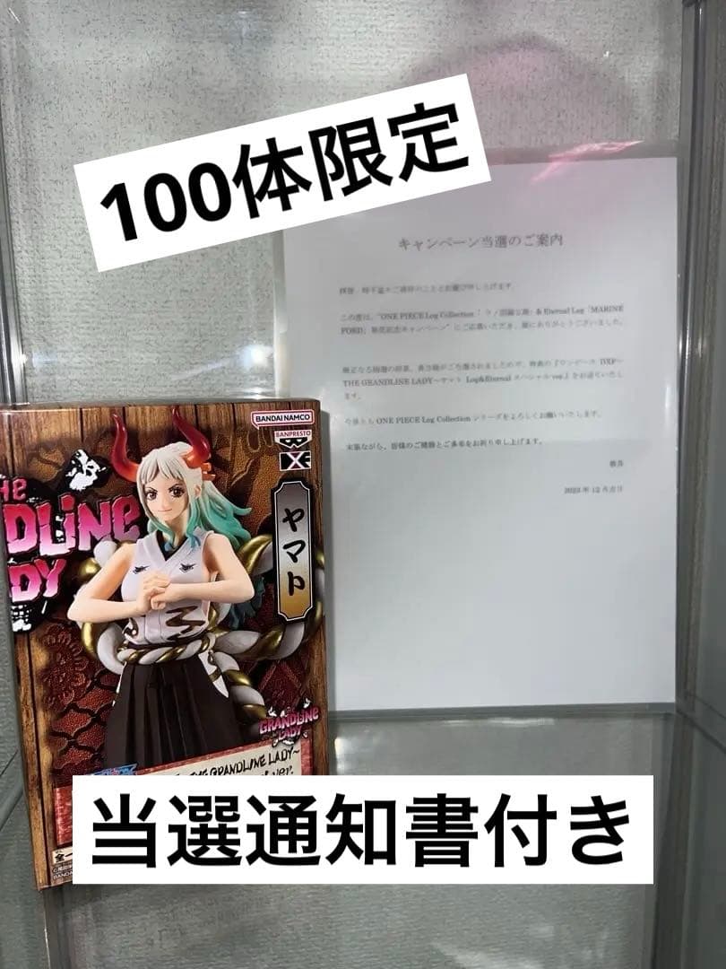 100名限定当選品　ワンピース　ログコレクション　グランドラインレディ　ヤマト