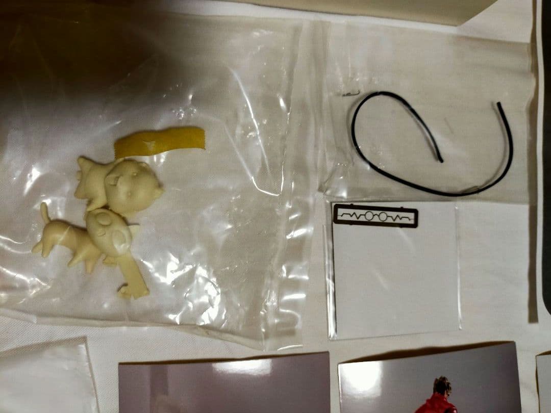 F-Face 浅井真紀 ヴァッシュ ガレージキット フィギュア