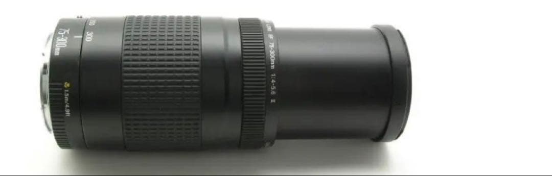 大望遠レンズ/大迫力の300㎜キヤノン/Canon EF75-300 II