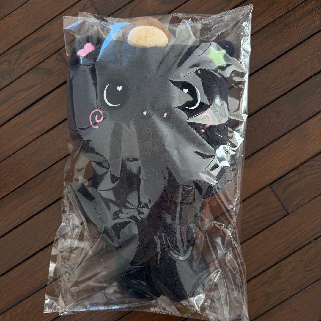 NCT WISH ソウルコン リク ぬいぐるみ キャラクターバッグ　トレカ付き