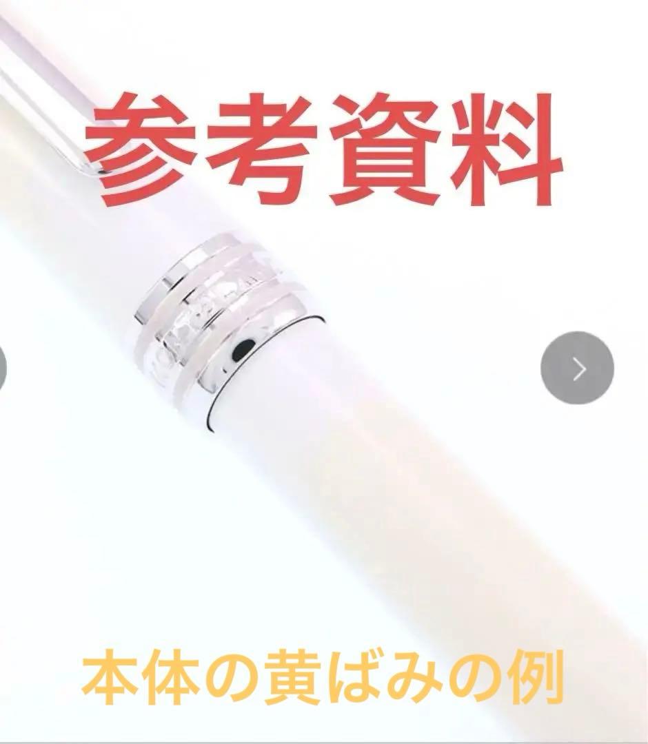 【美品】MONTBLANCモンブラン トリビュート・トゥ・ザ・モンブラン万年筆