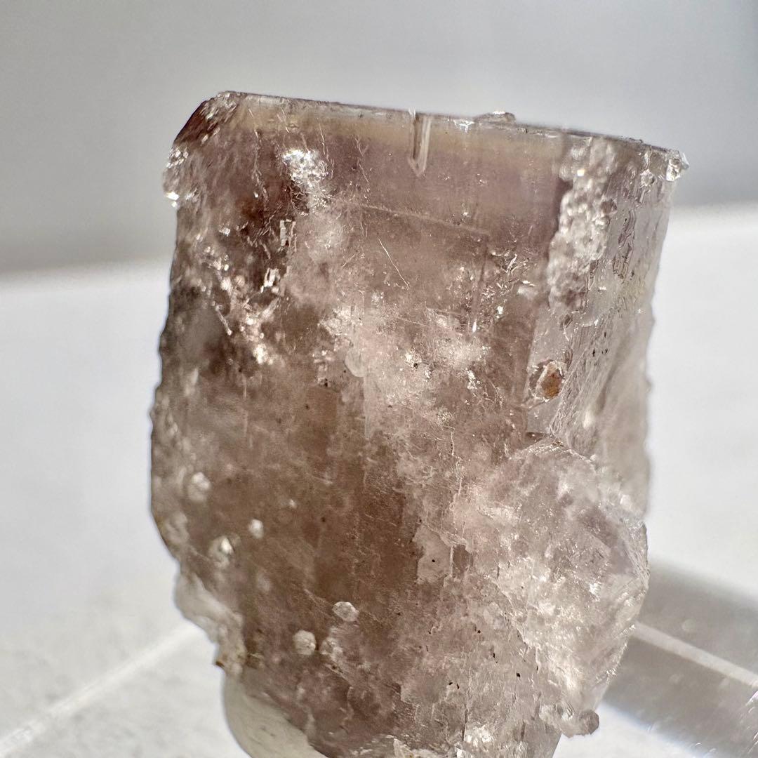 497 イギリス　レディアナベラ鉱山　シュガープラムポケット　フローライト