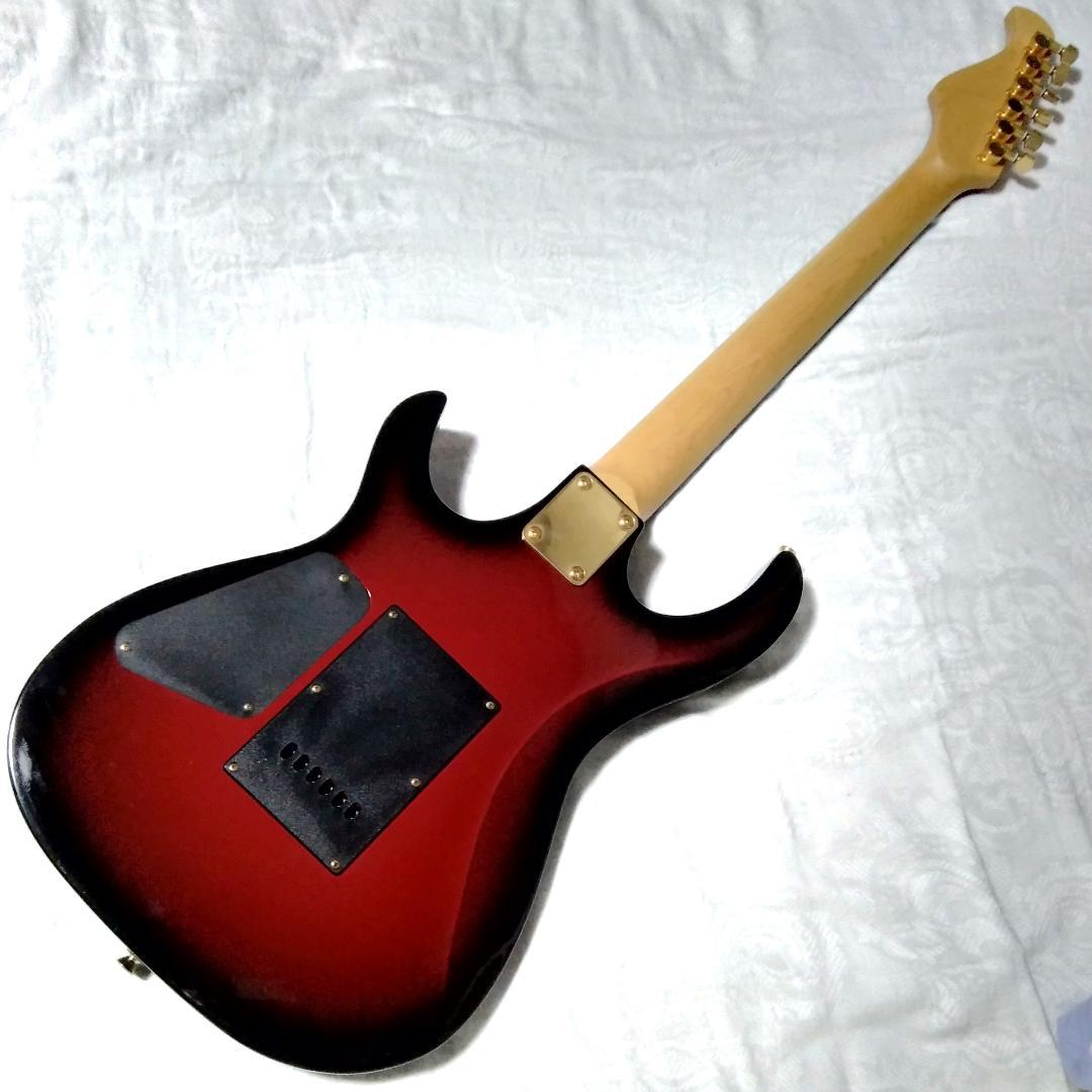 Anboy（フジゲン）AN-25 状態良好・メンテ調整済（CANARE3m付き）