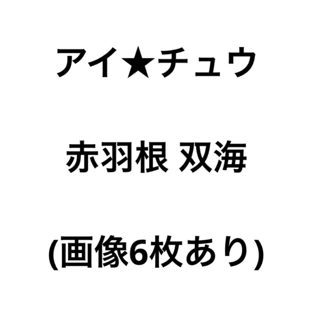 アイチュウ　双海