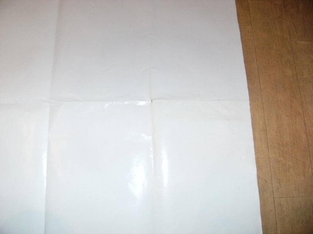 非売品★昭和レトロ★当時物★1987年 アニメージュ付録 湘南暴走族 ポスター