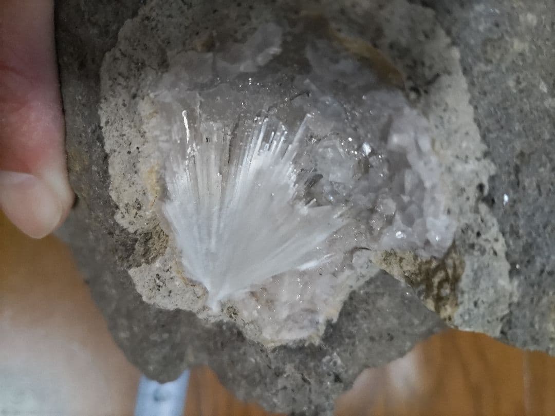 国産鉱物　愛媛県中予産　ソーダ沸石、ボドリオ石、方解石付き