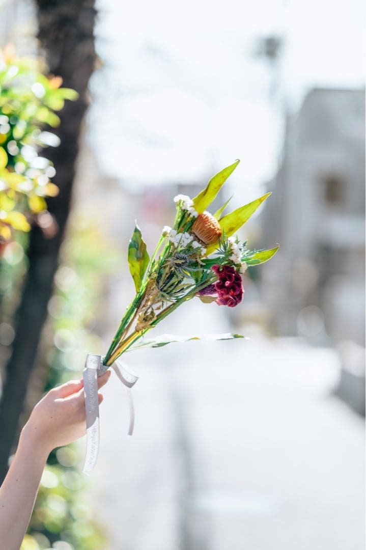 Nikon Z6ii 85mm f1.8 単焦点セット