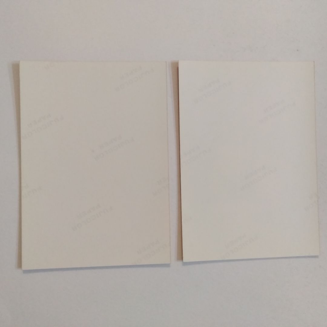 キャンキャン 唐沢美香 2枚セット生写真 サービスサイズ