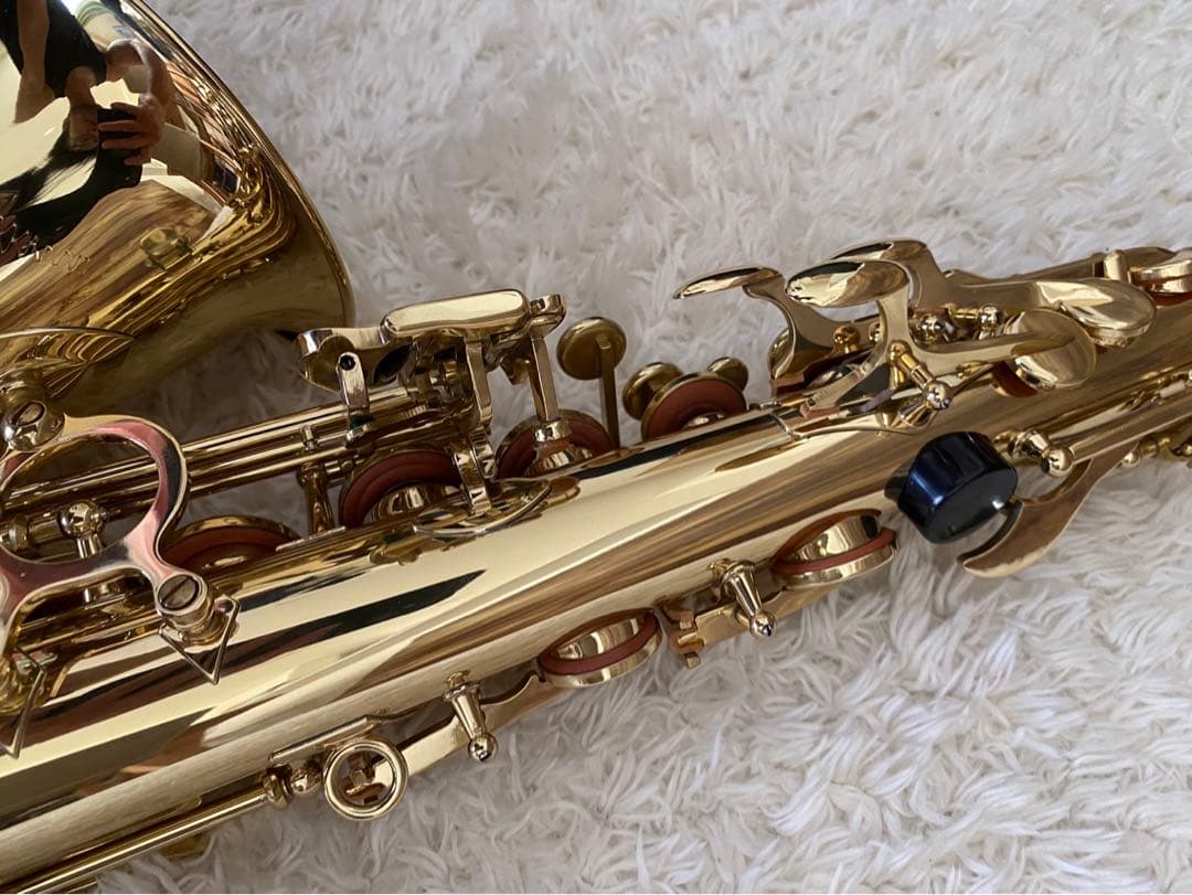 美品！ SELVAセルバ　サックス 管楽器 ケース付 彫刻