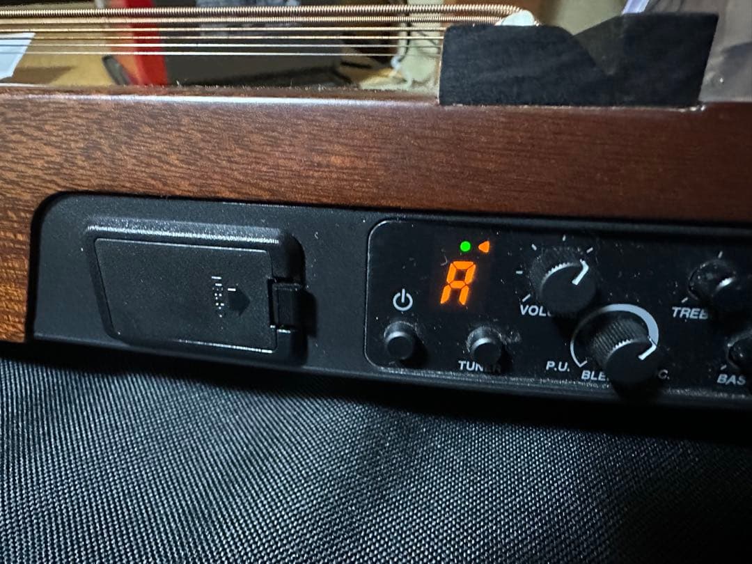 Ken様用　YAMAHA SLG200S