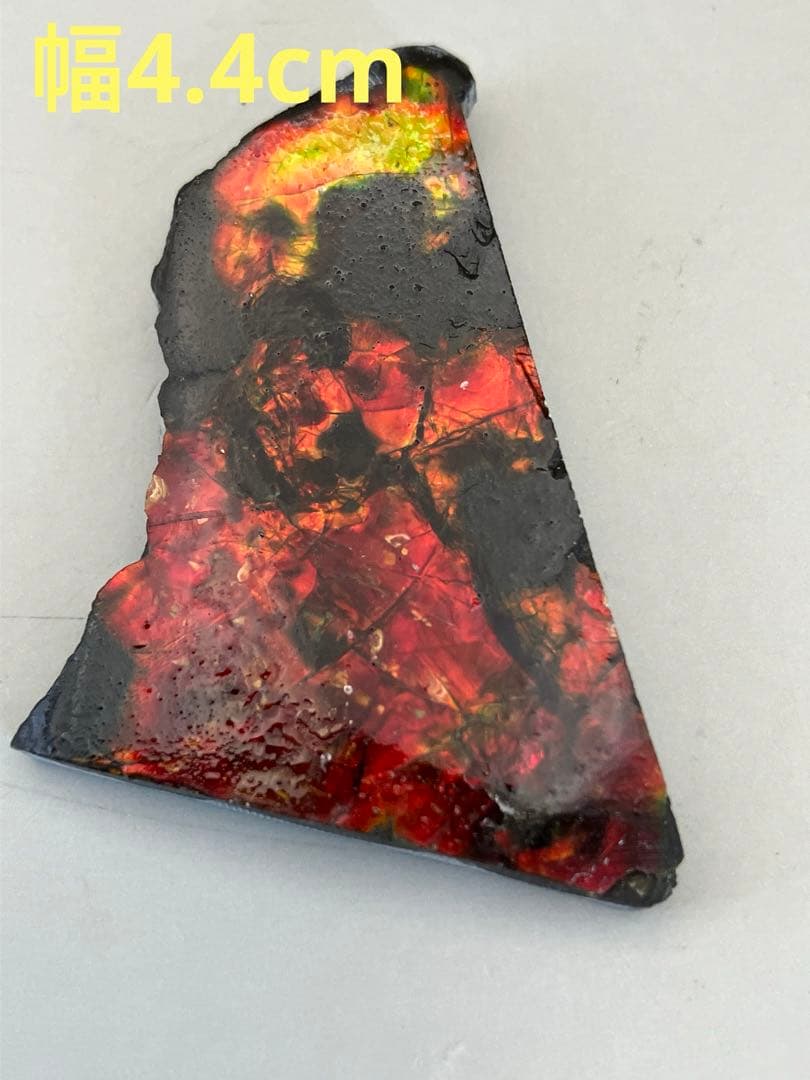 化石　原石　アンモライト　アンモナイト　カナダ産　幅4.4cm 箱付き