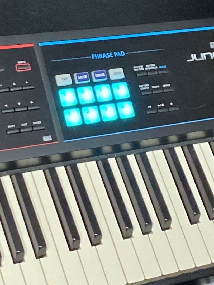 鍵盤楽器 juno ds88