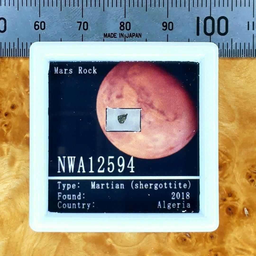 ⭐火星の石！シャーッゴッタイト　 NWA 12594　隕石標本