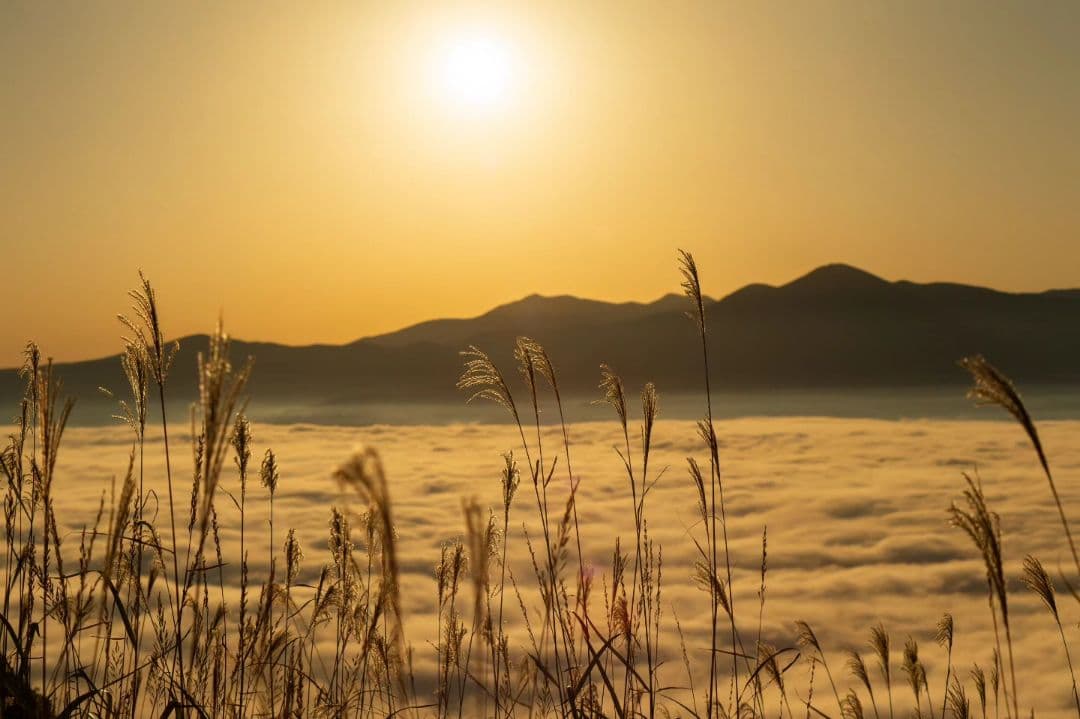 く*だ様 Canon 1DX チャージャー付き　値下げ交渉少しOK　CF2カード