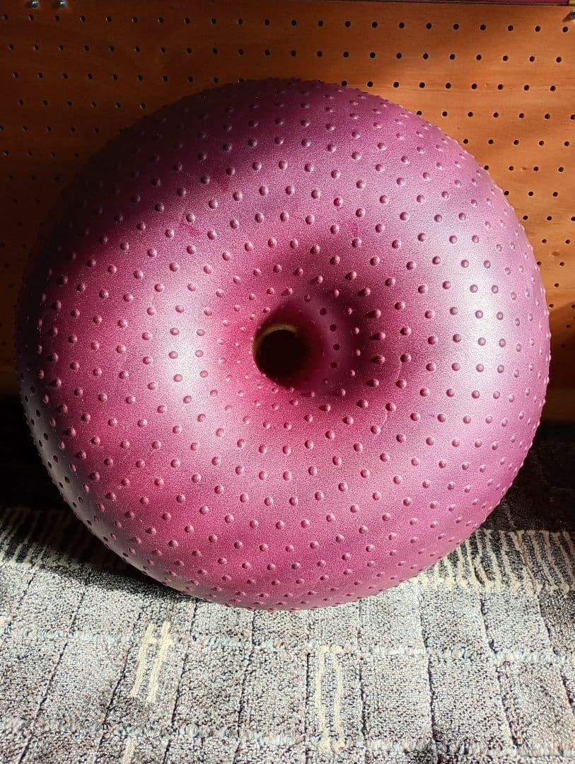 アプリア ドーナツボール ワンちゃん用バランスボール 2個セット 最終値下！