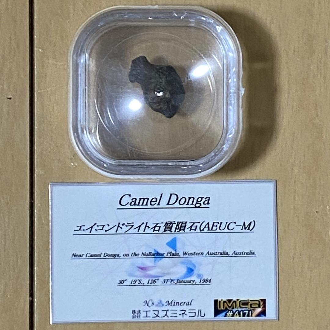 キャメルドゥンガ隕石 エイコンドライト 石質隕石 <1.49g>