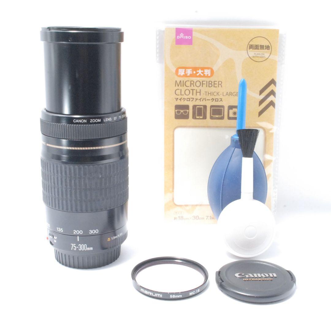 キャノン Canon EF 75-300mm 望遠レンズ 遠くの春も、すぐそばに