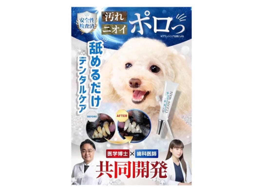 CLEAN WAN デンタルケアクリーム　2本