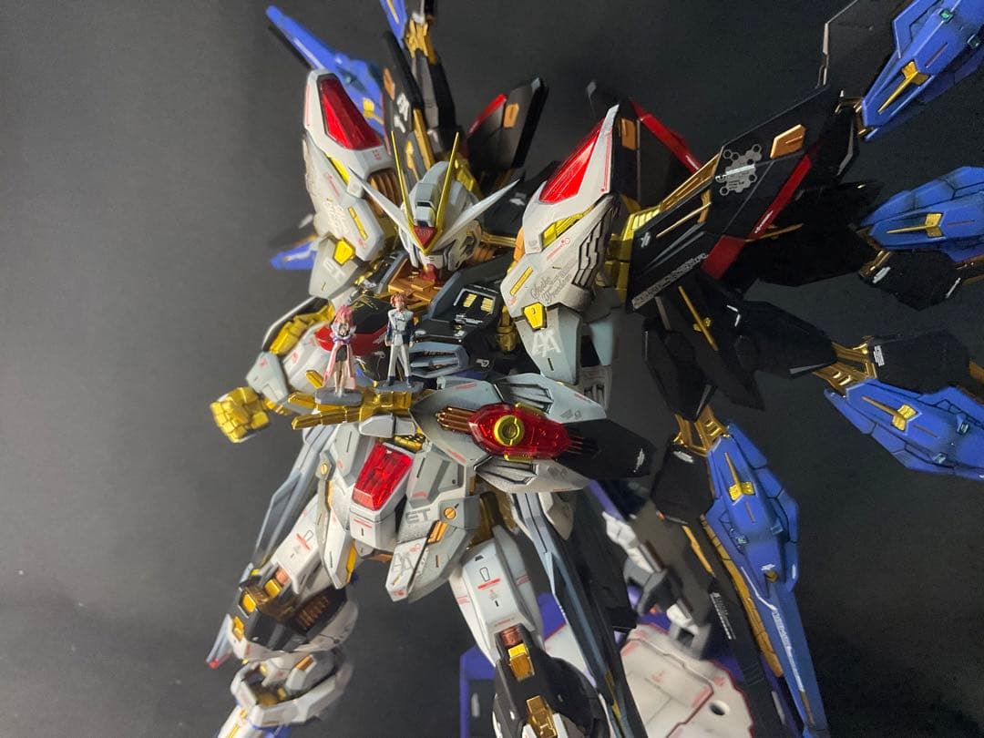 mgex ストライクフリーダム　全塗装　完成品