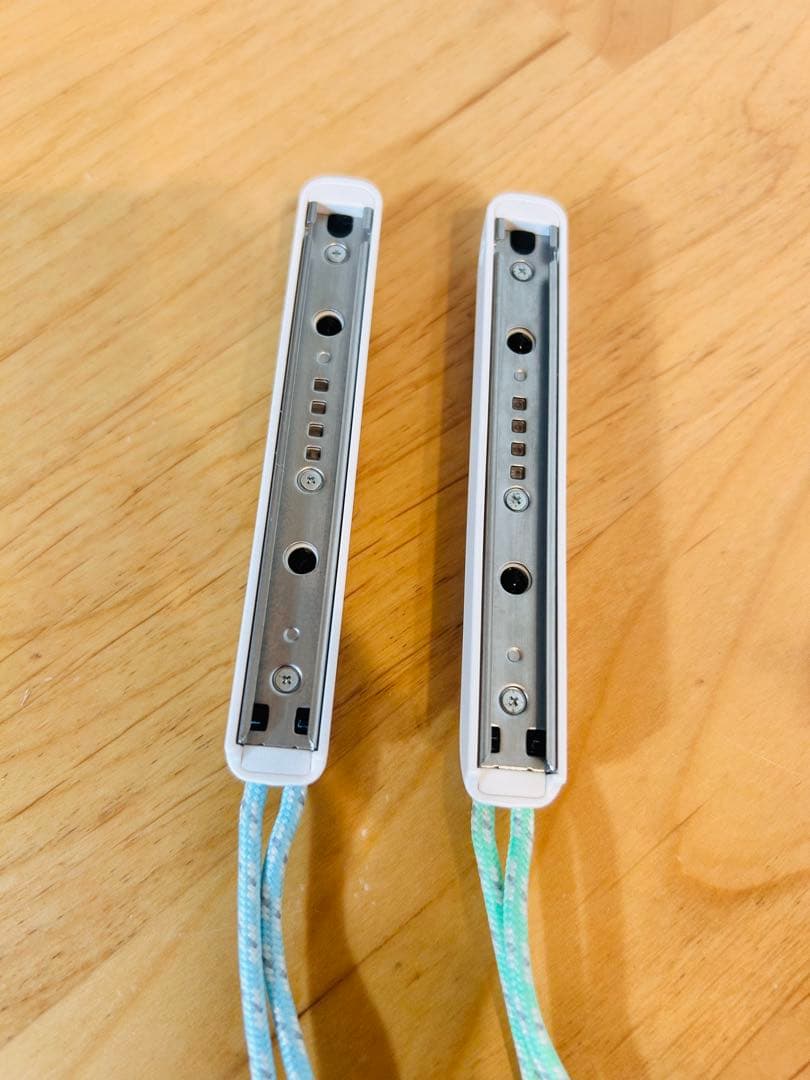 Nintendo Switch あつまれどうぶつの森セット 箱付き　あつ森