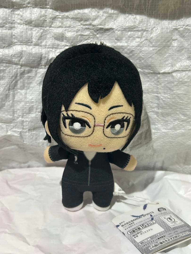 ハイキュー　清水潔子　ともぬい