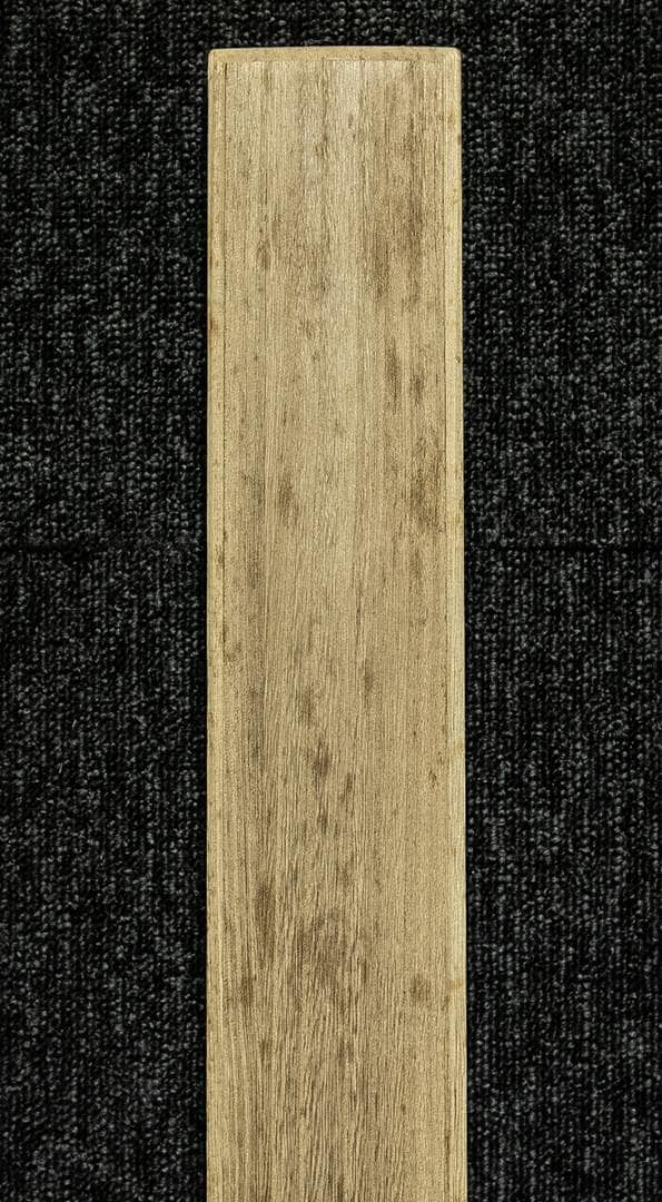 掛軸-1718　大徳寺派　矢野海渕　土筆画賛　「春色満四澤」　共箱