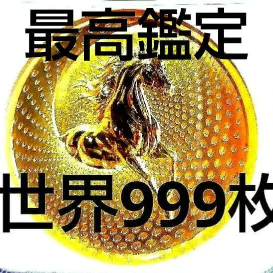 NGC MS70 最高鑑定 2024 世界 999枚 龍と馬  メダル