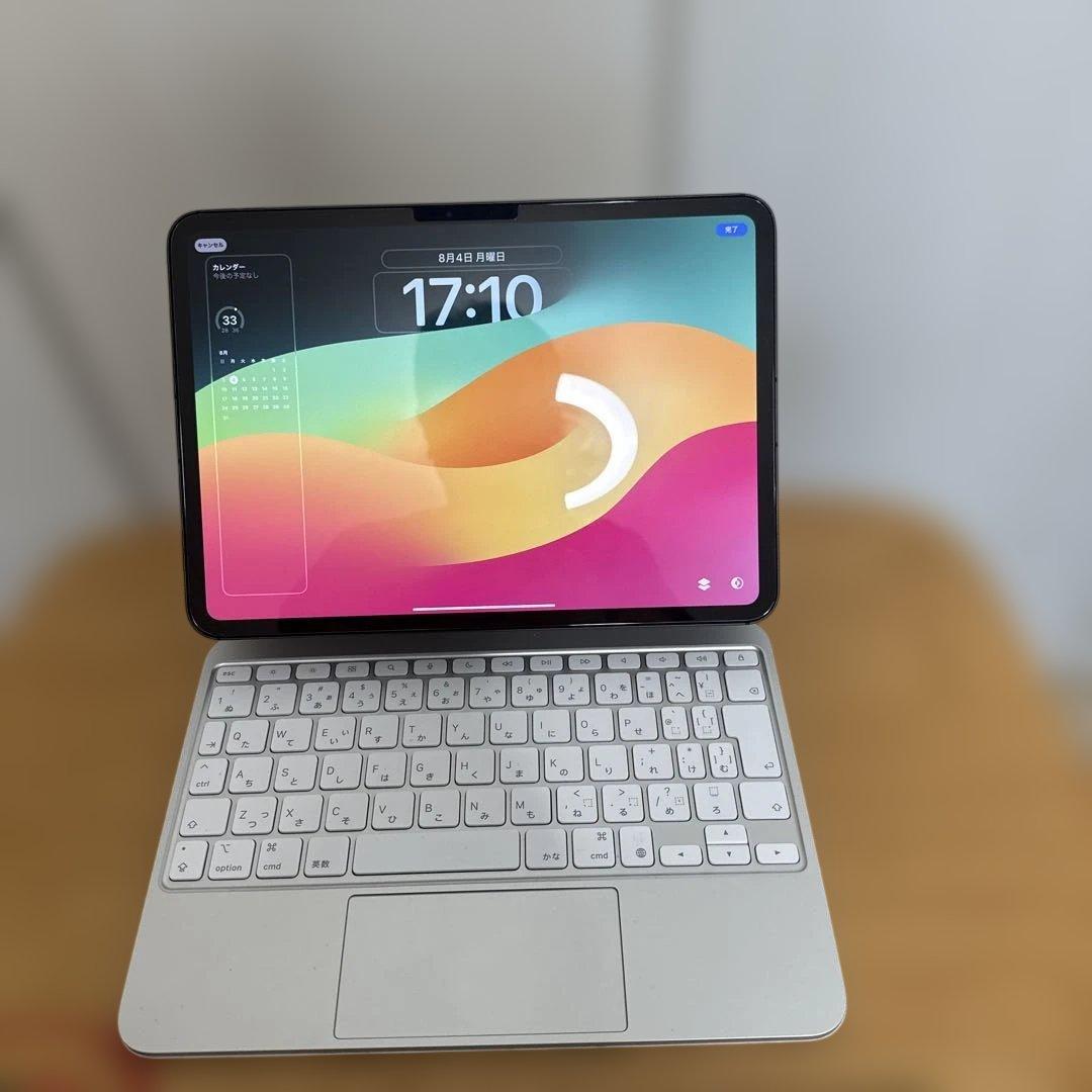 iPad Pro (M4) 11インチWi-Fi＋Cellular 512GB