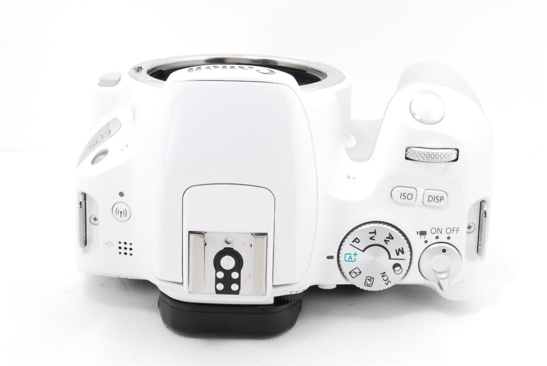 人気ホワイトカラー！ Canon EOS kiss x9 スマホ転送機能付き♪