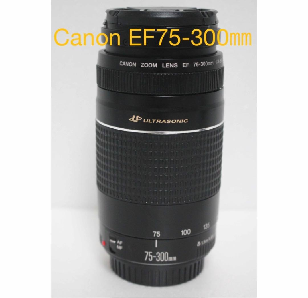 超望遠レンズ/一眼レフカメラ/キャノン Canon EF75-300㎜