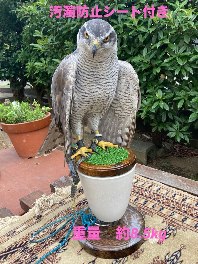 大型猛禽パーチ、ファルコンブロック　Ａ 汚濁防止シート付き