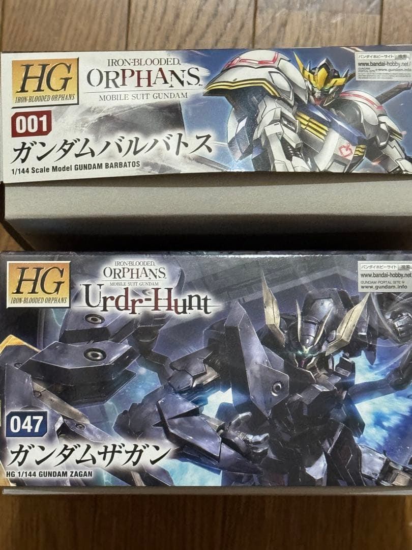 RG ガンダムアストレイ ゴールドフレーム天ミナ＆ HG ガンダムザガン