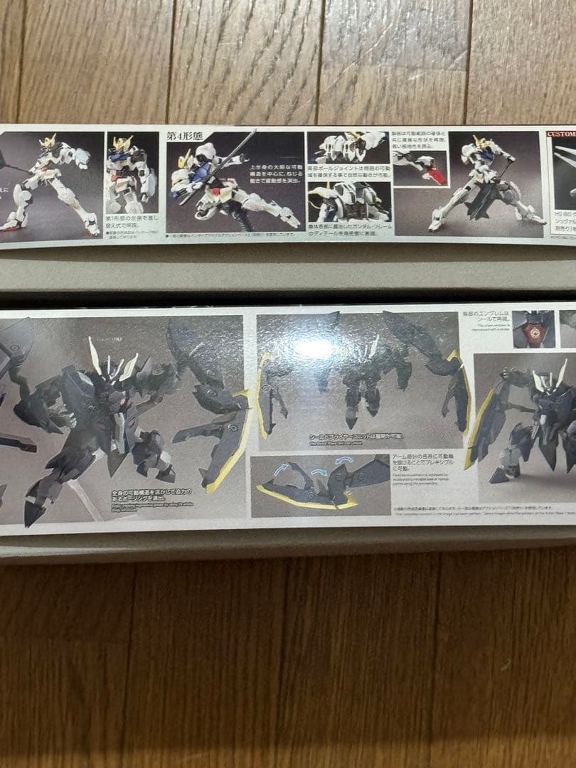 RG ガンダムアストレイ ゴールドフレーム天ミナ＆ HG ガンダムザガン