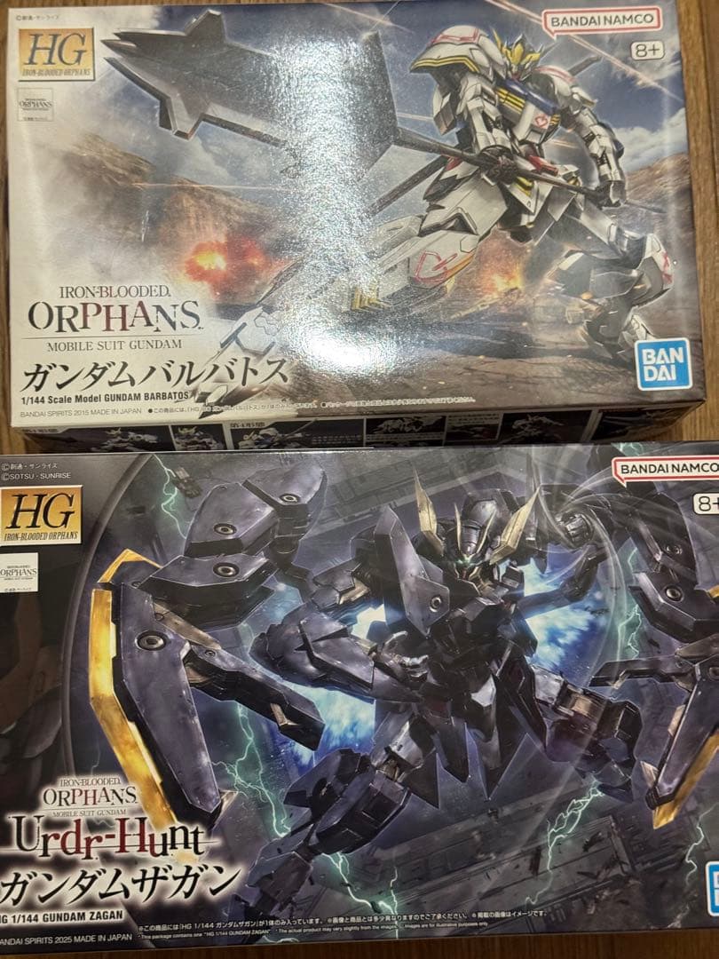 RG ガンダムアストレイ ゴールドフレーム天ミナ＆ HG ガンダムザガン