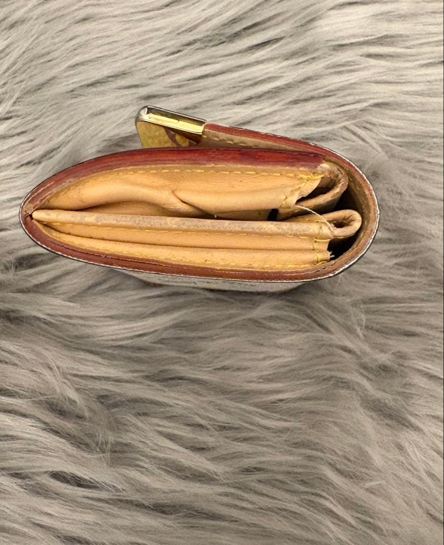 s*o様 Louis Vuitton マルチカラー ケース