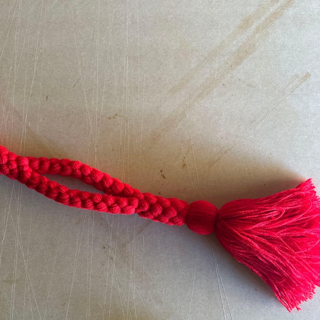 土佐犬　土佐闘犬　超大型犬　引き綱　赤