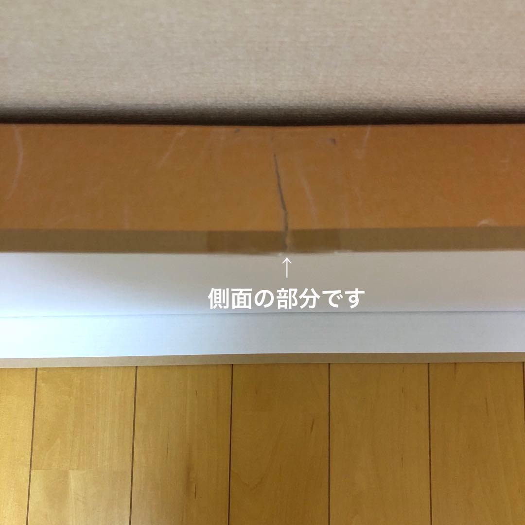 【美品】モノトーン　桜模様　正絹振袖　成人式