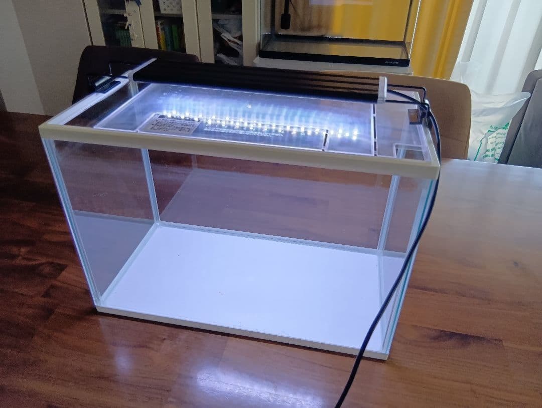オクラ【千葉県北西部引取】60cm水槽、水槽台、LED等のセット