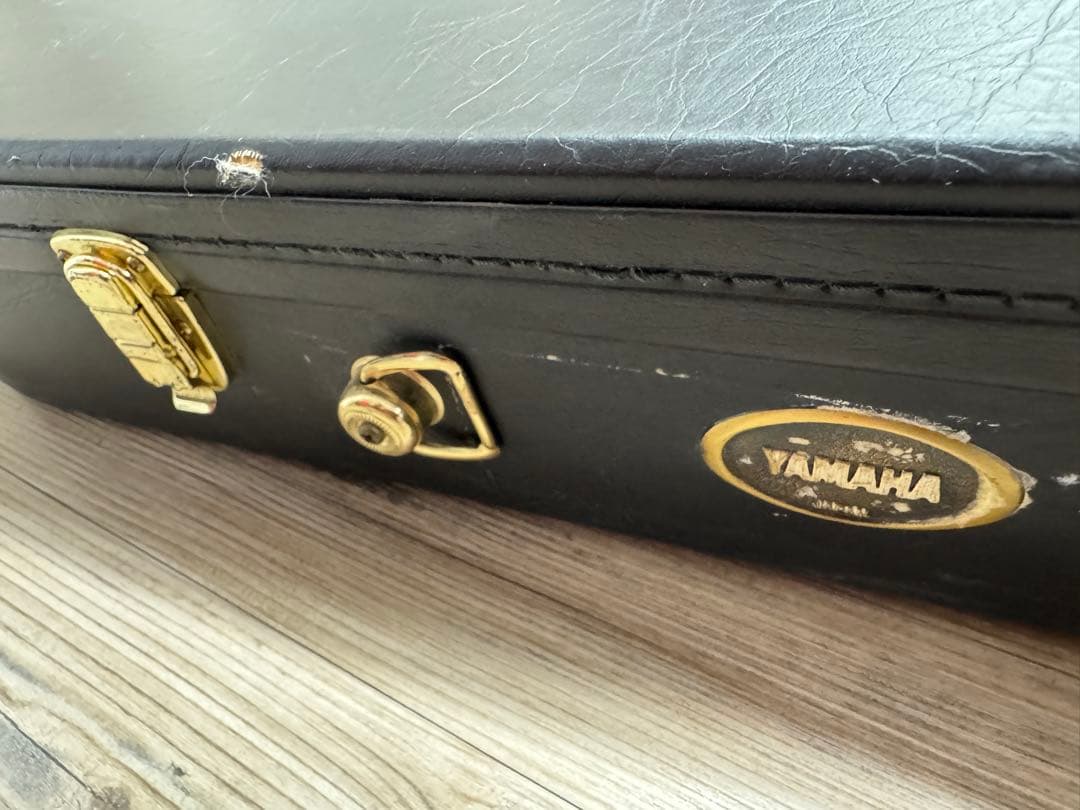 【激レア】ヤマハ90年代ビンテージ12弦エレアコ APX-8-12A+ケース